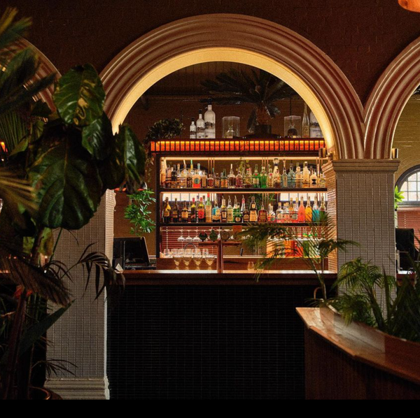 Arched back bar lined with spirits and plants